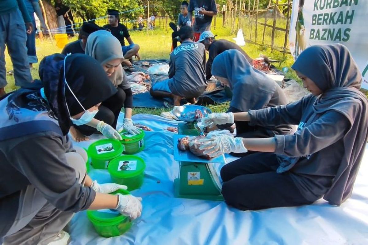 Peduli lingkungan Baznas Bulukumba bagi daging kurban menggunakan bakul