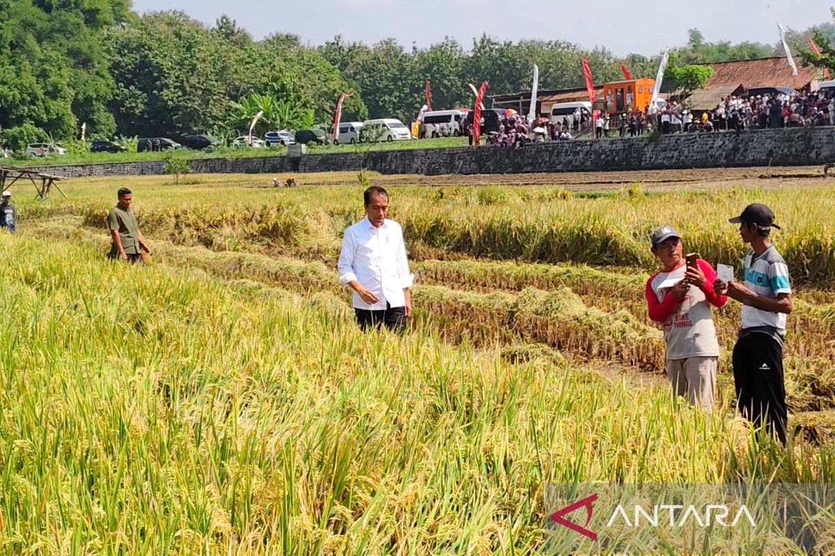 Presiden tinjau pompanisasi di Desa Krendowahono  Karanganyar