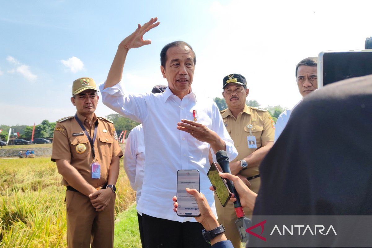 Presiden pastikan tidak ada bansos untuk korban judi