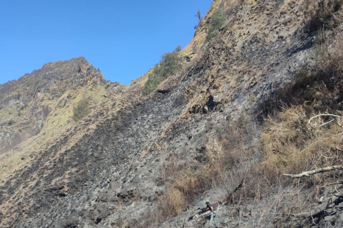 TNGR: Cuaca panas picu kebakaran lahan di kawasan Gunung Rinjani Lombok