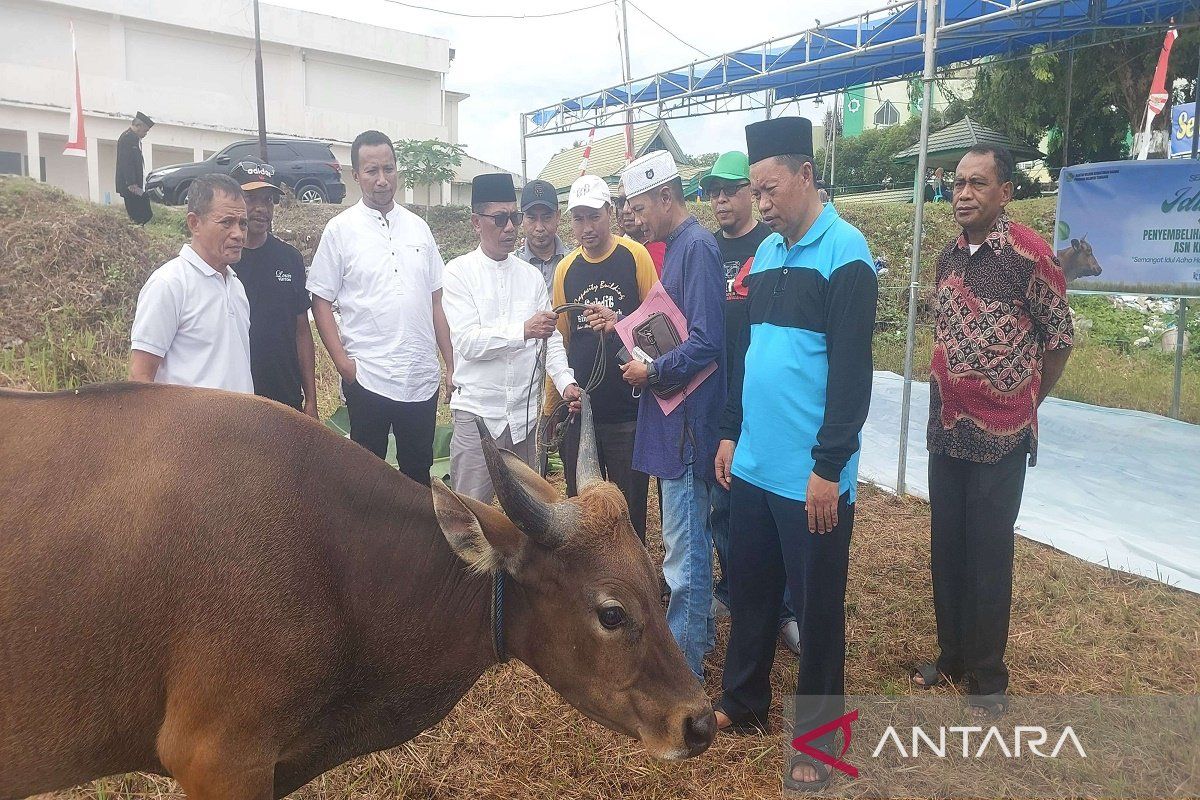 Kanwil Kemenag Sultra di momen Idul Adha 1445 hijriah sumbang 1.000 hewan kurban