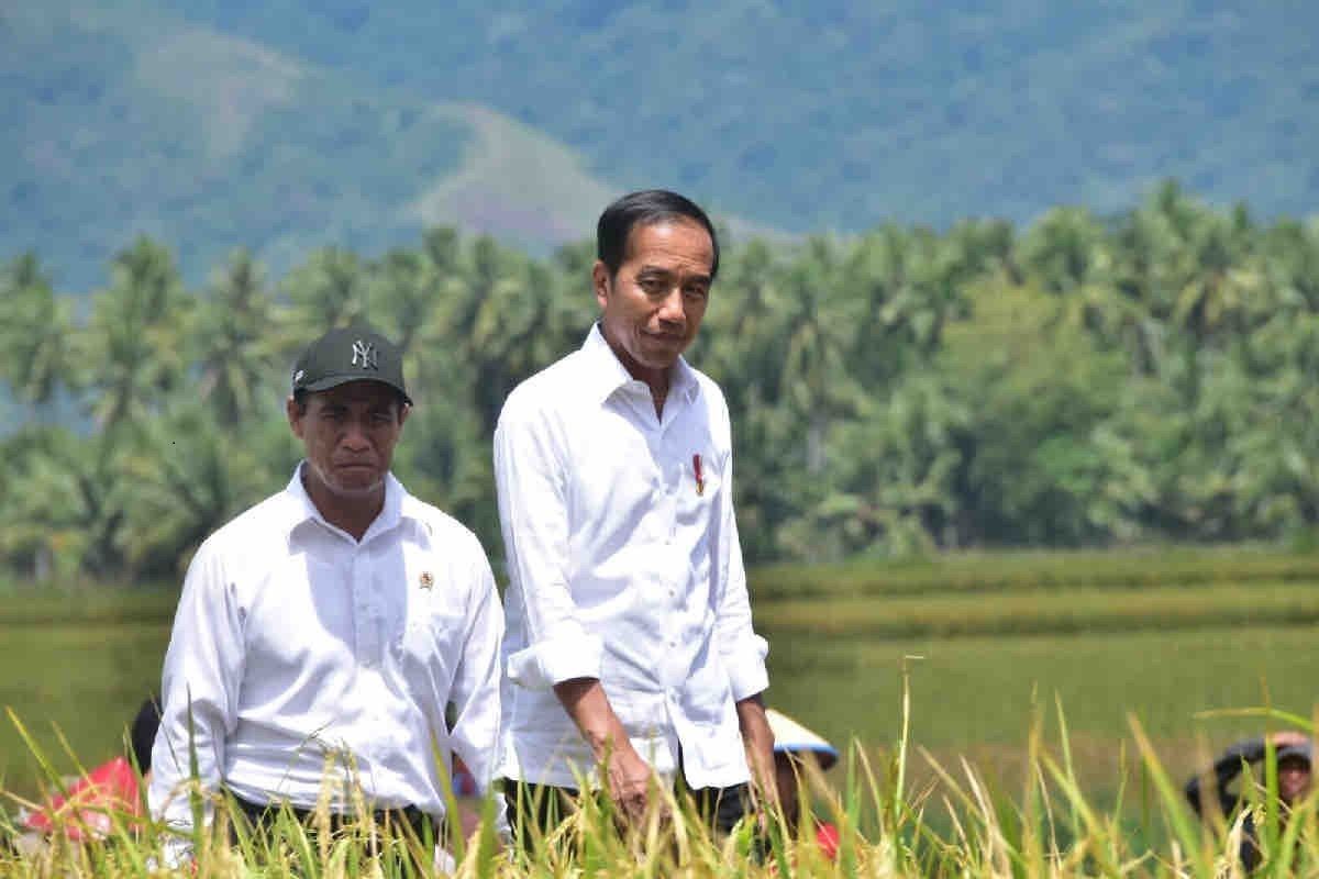 Presiden Jokowi tinjau pompanisasi di Desa Krendowahono Karanganyar