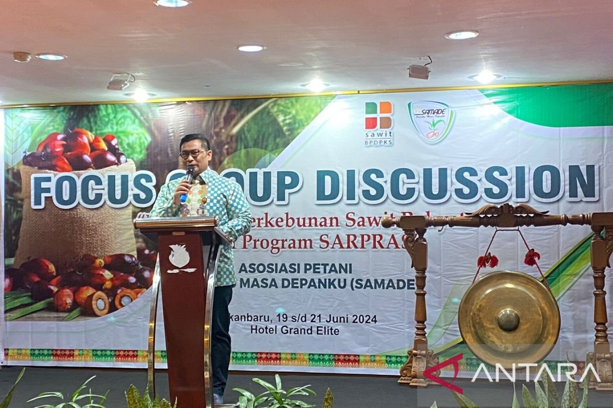 Petani sawit ingin sarana prasarana kebun memadai