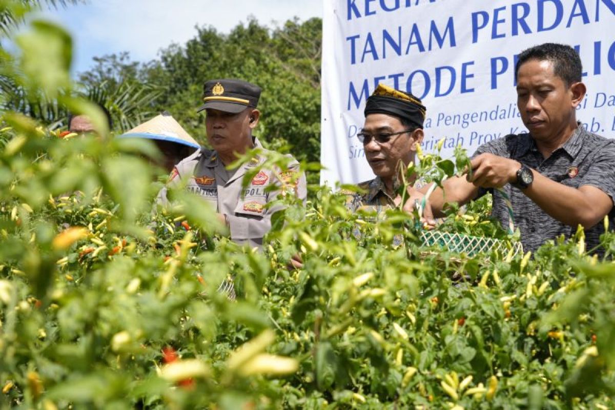 Kolaborasi KPw BI dan Pemprov Kaltara dalam Pengendalian Inflasi