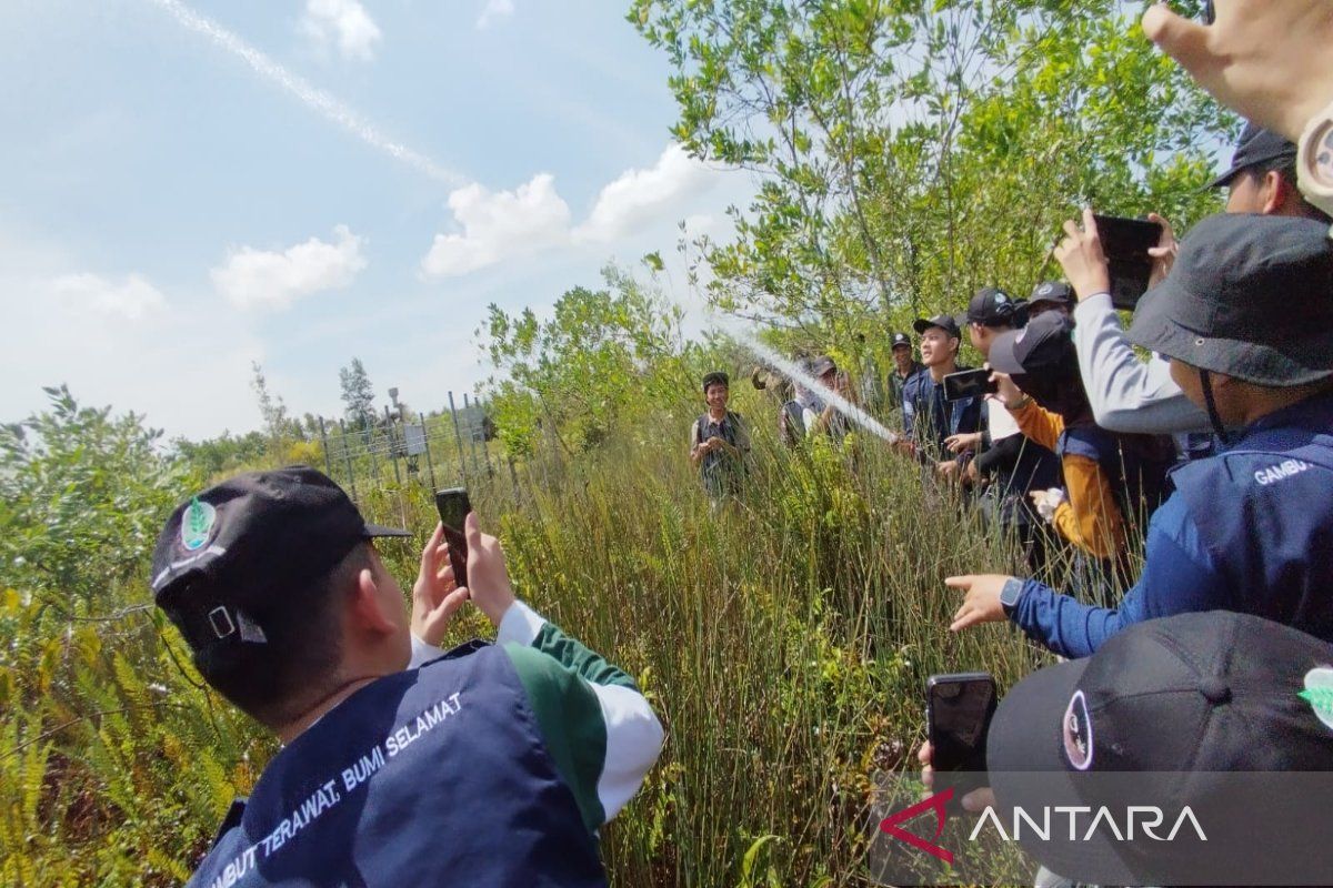 BRGM kenalkan pengelolaan gambut pada pemuda lewat ekspedisi