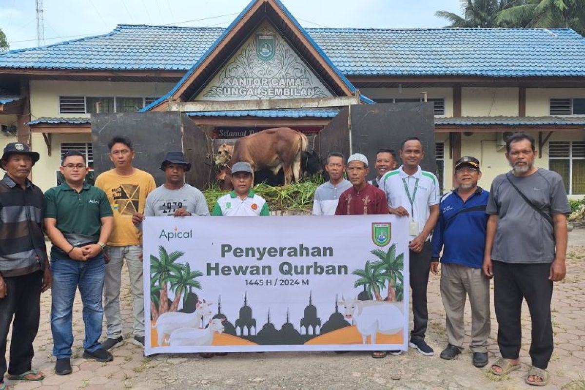 Apical Group berbagi hewan kurban, begini tanggapan Pemda