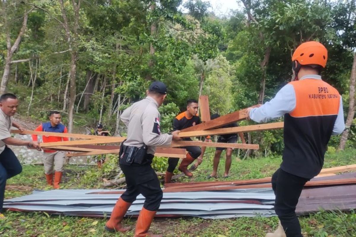 BPBD Natuna tangani pohon tumbang yang menutup jalan