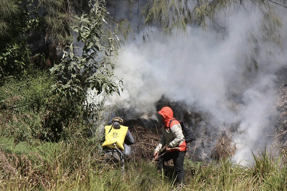 Kebakaran kembali terjadi di kawasan Bromo