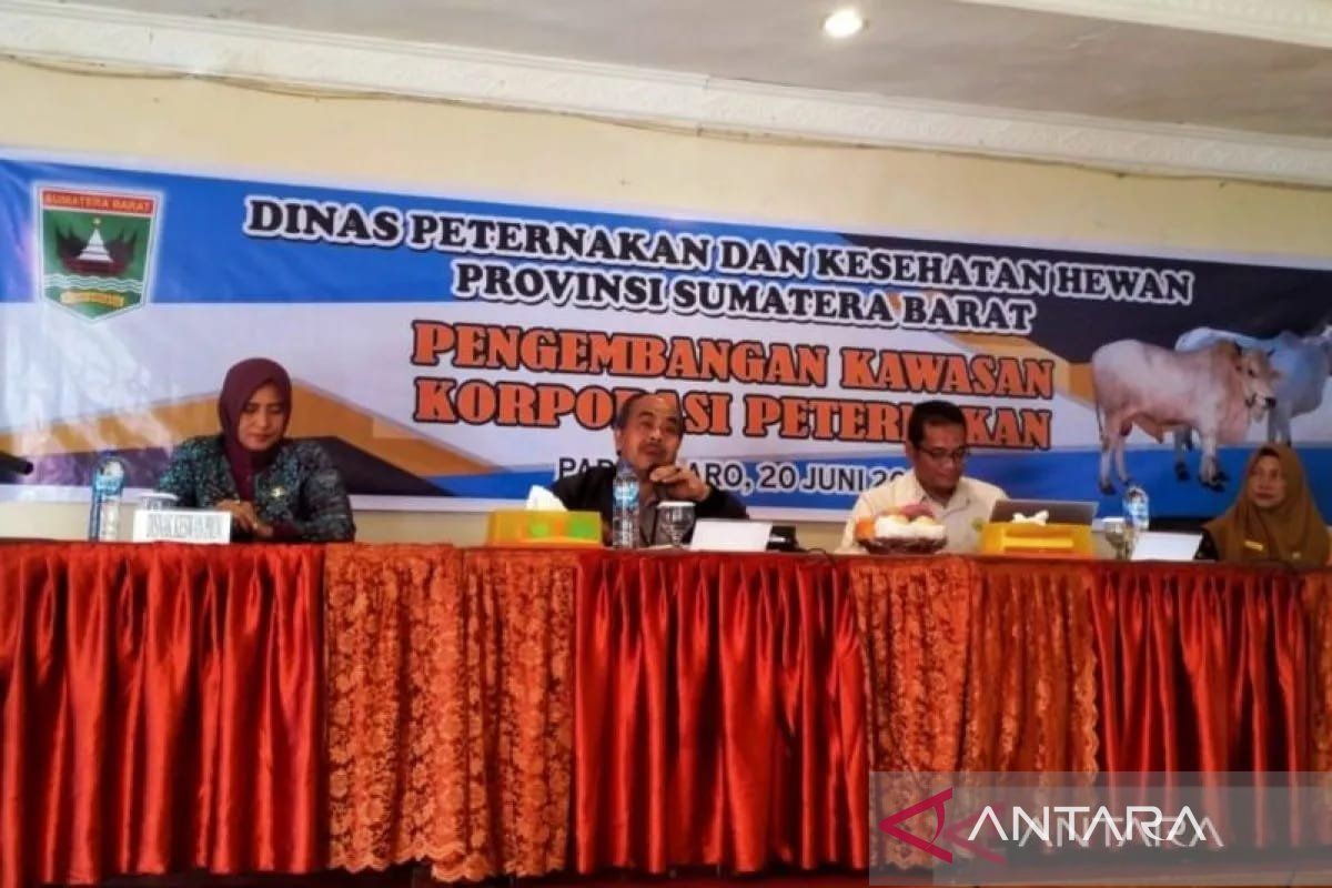 Pemprov Sumbar tinjau progres desa korporasi sapi di Solok Selatan