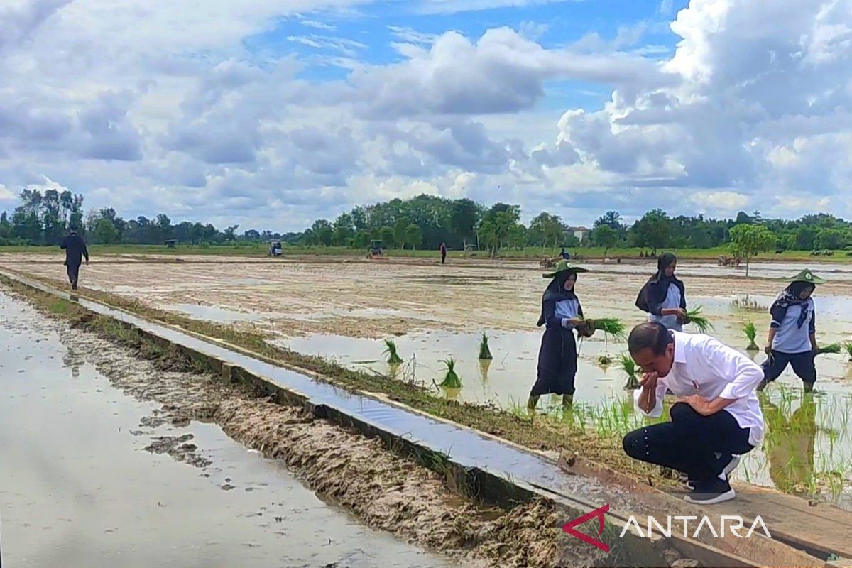 Jokowi pastikan program pompanisasi di Kotim berjalan baik