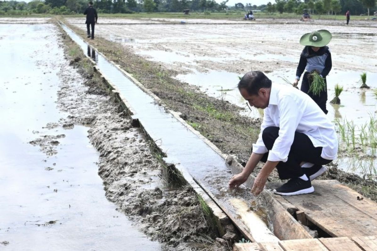 Jokowi minta tambahan pompa atasi kekeringan lahan tani Juli-Oktober