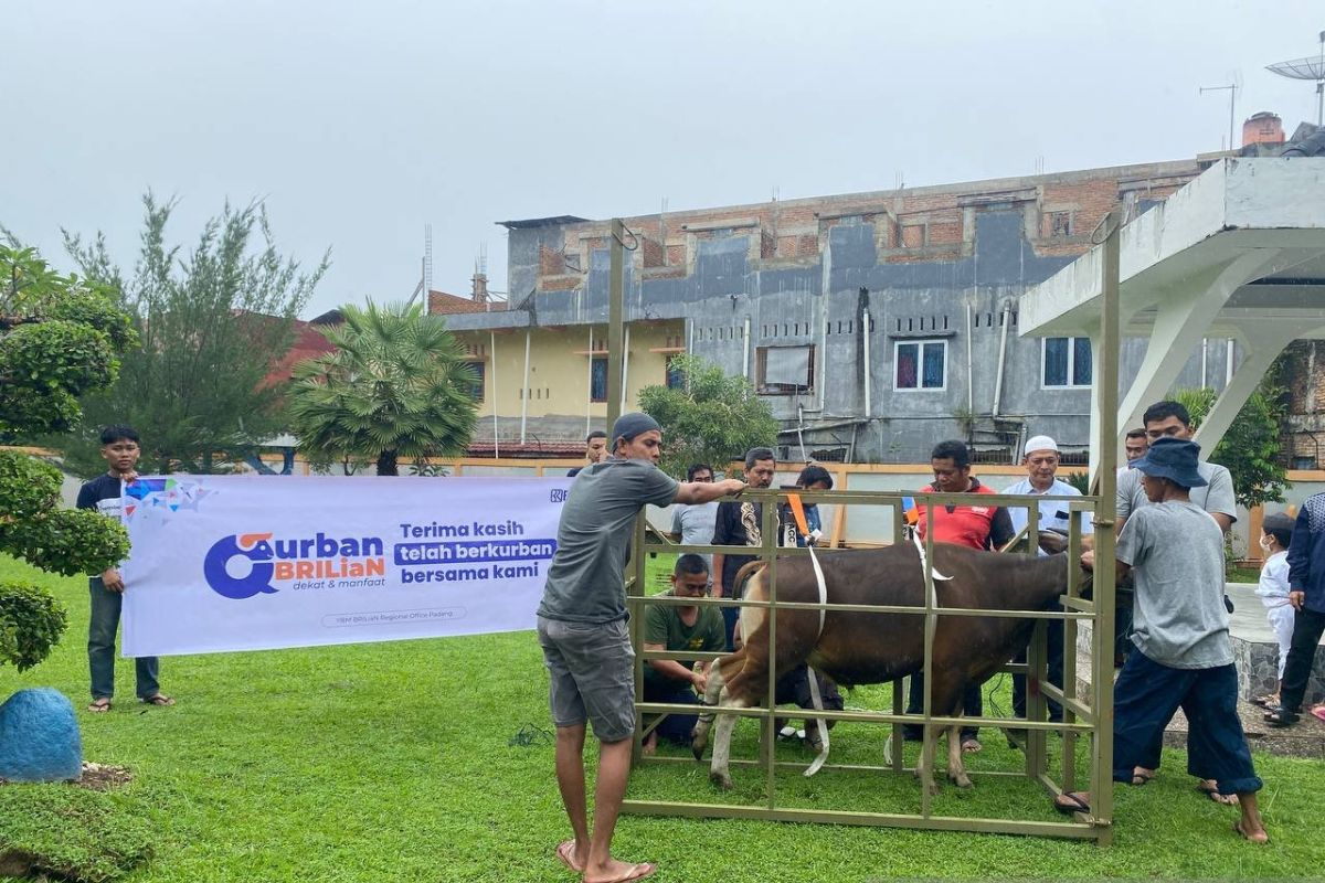 YBM BRILiaN RO Padang dan BRI RO Padang gelar kurban di lokasi bencana