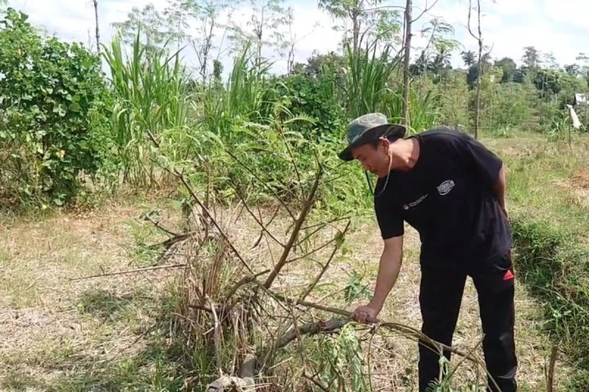 Warga Janapria Lombok Tengah digegarkan penemuan bayi di areal persawahan