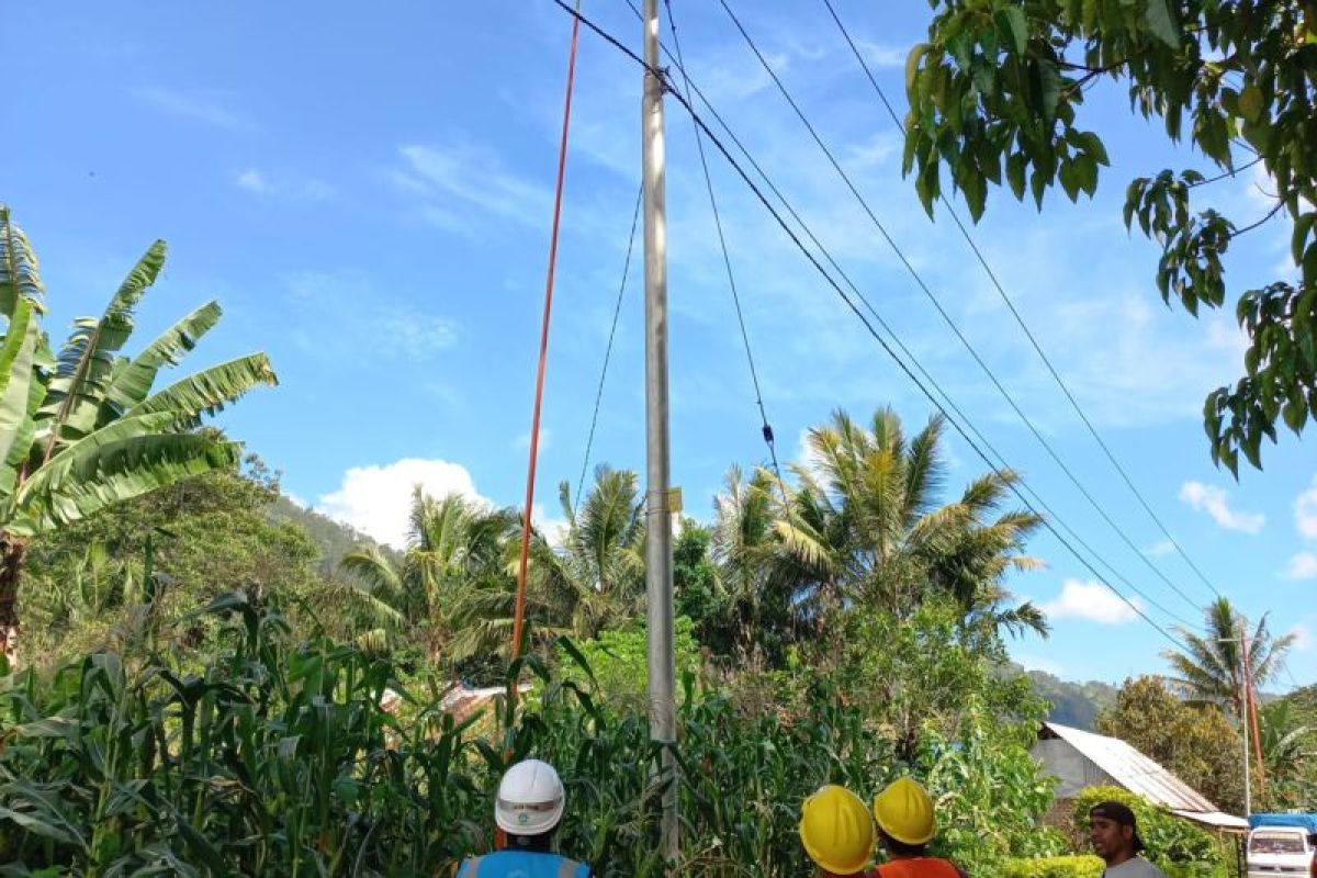 PLN hadirkan jaringan listrik pada tiga desa di Alor