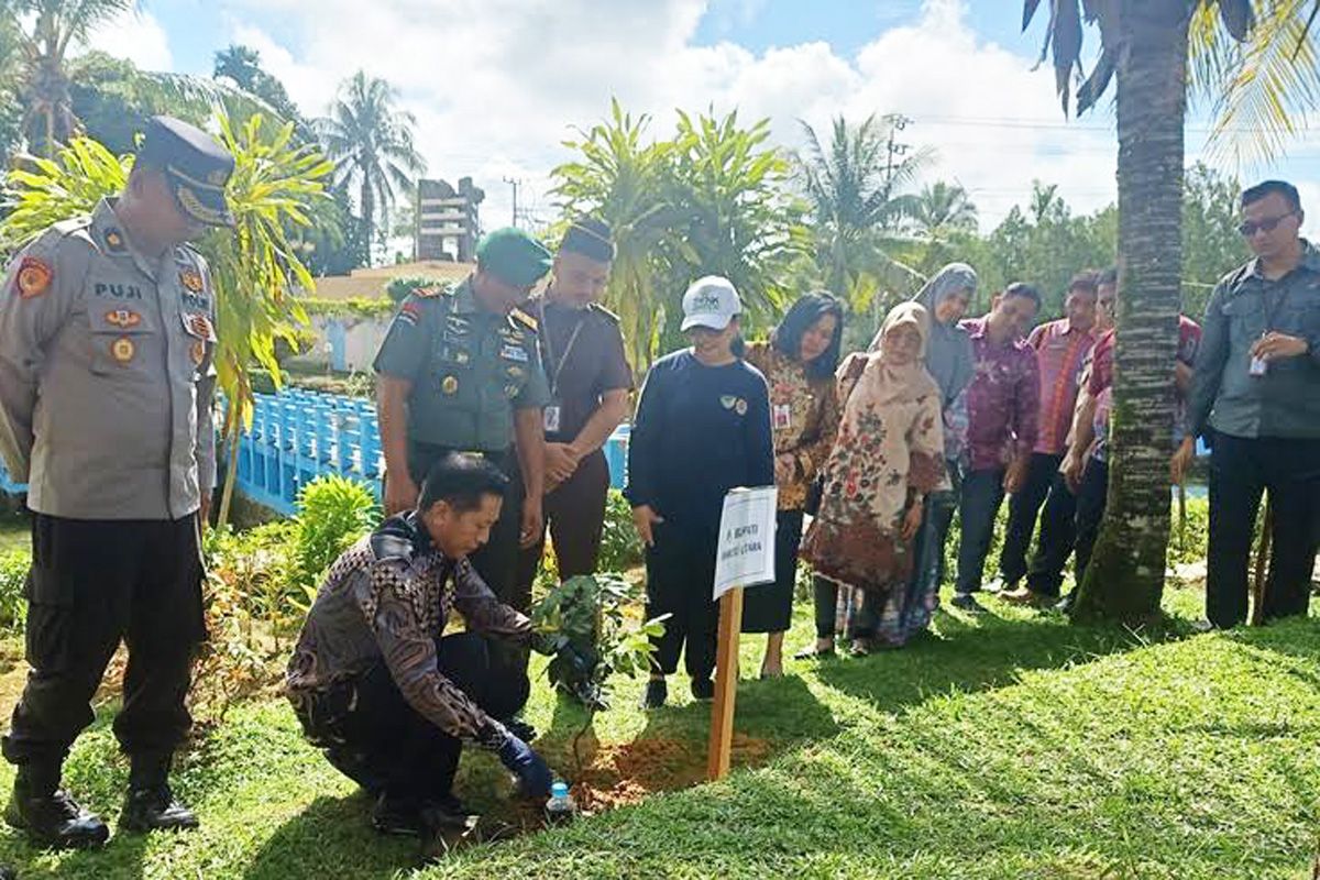 Pemkab Barito Utara tanam pohon untuk pemulihan lingkungan