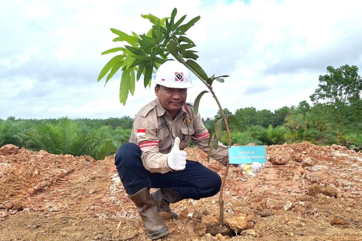 Peringati Hari Lingkungan Hidup, PT Bumi Makmur Waskita gelar penanaman pohon dan edukasi lingkungan