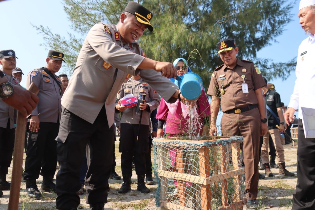 Polres Pasaman Barat Gelar tanam pohon di pesisir Pantai Muaro Sasak