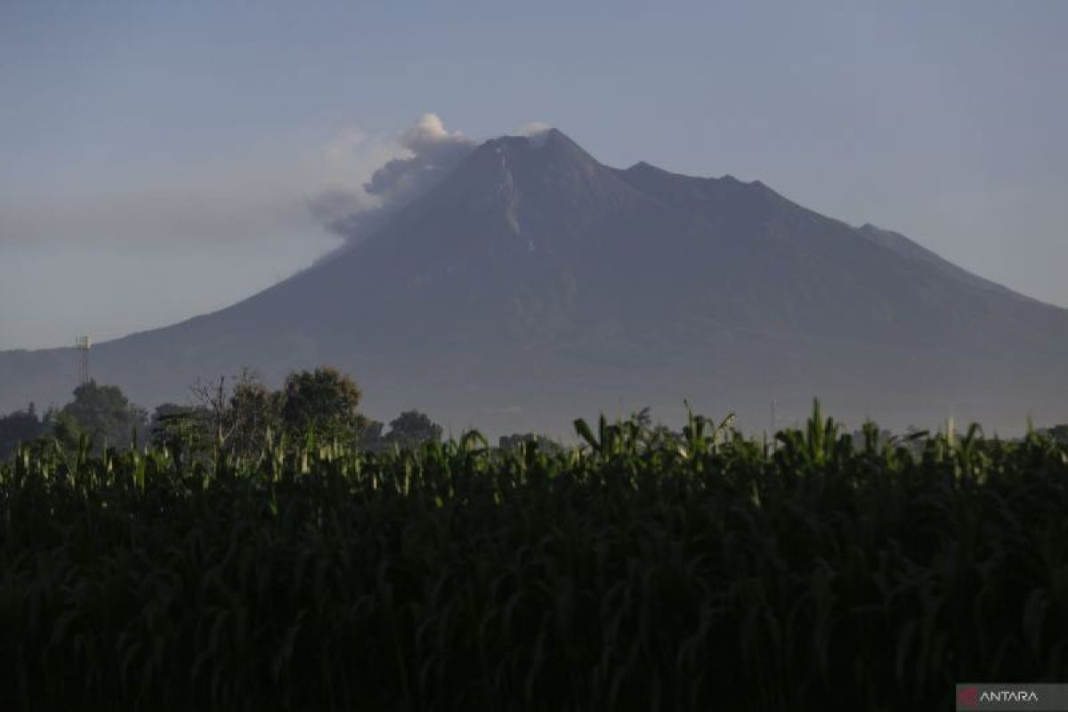 BPBD Sleman tingkatkan kapasitas mitigasi bencana warga lereng Gunung Merapi