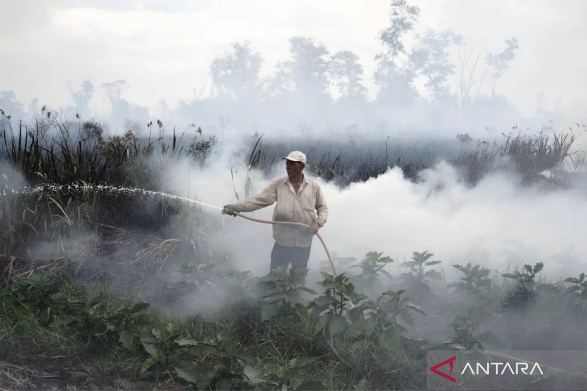 BRIN menggandeng institusi nasional dan mancanegara atasi kebakaran gambut