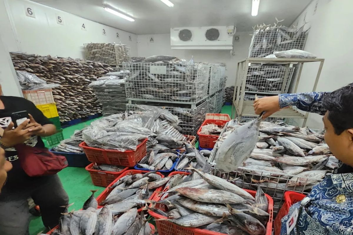 Pemkab Gunungkidul perjuangkan penambahan cold storage di Pantai Sadeng