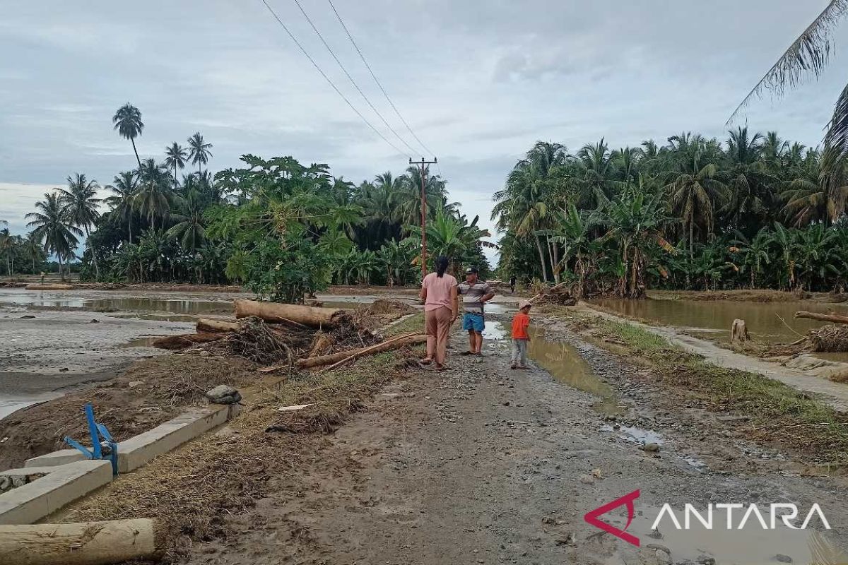 Dinas TPHP Parigi Moutong catat 119 hektare sawah rusak akibat dampak banjir