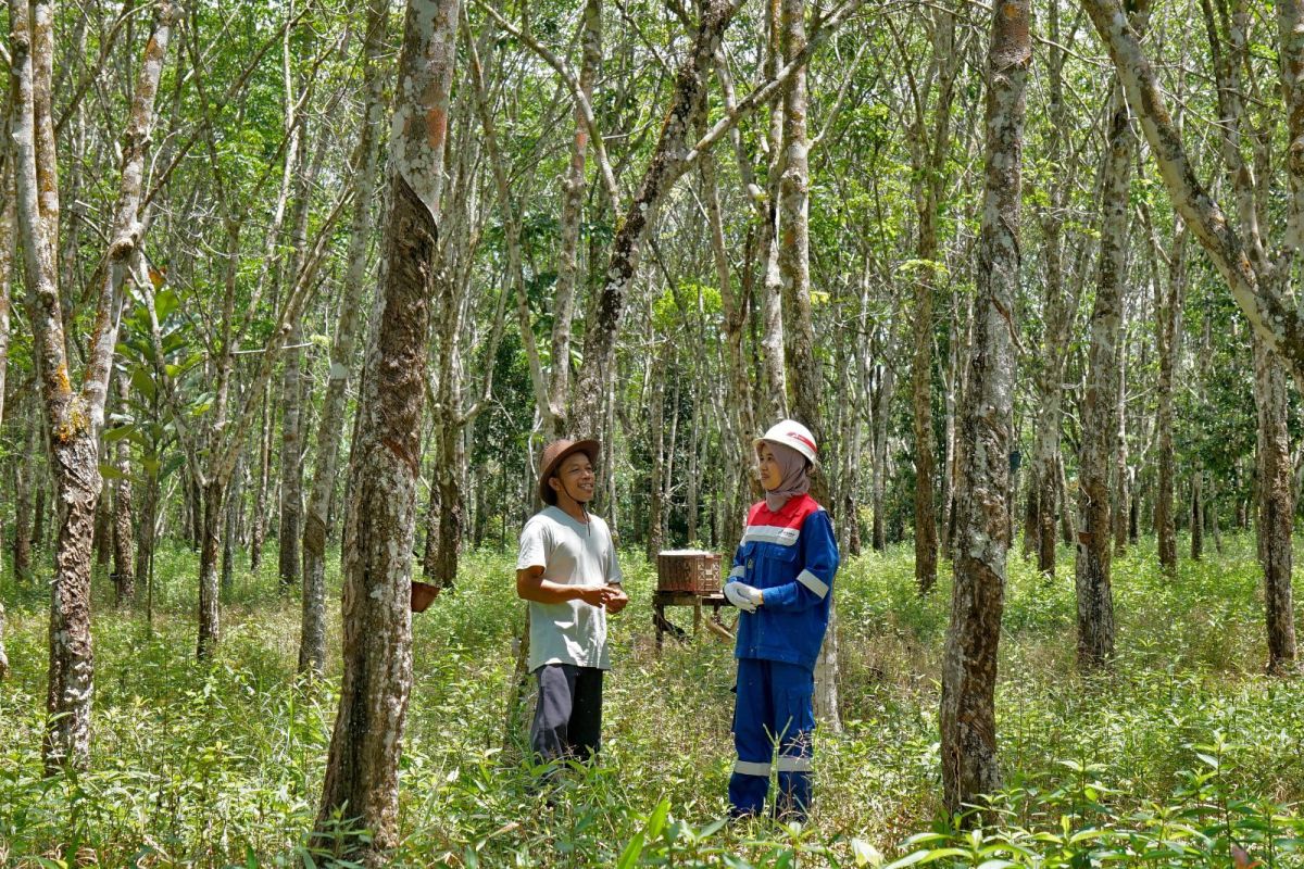 Desa Pagardewa di Muara Enim jadi kawasan ekowisata