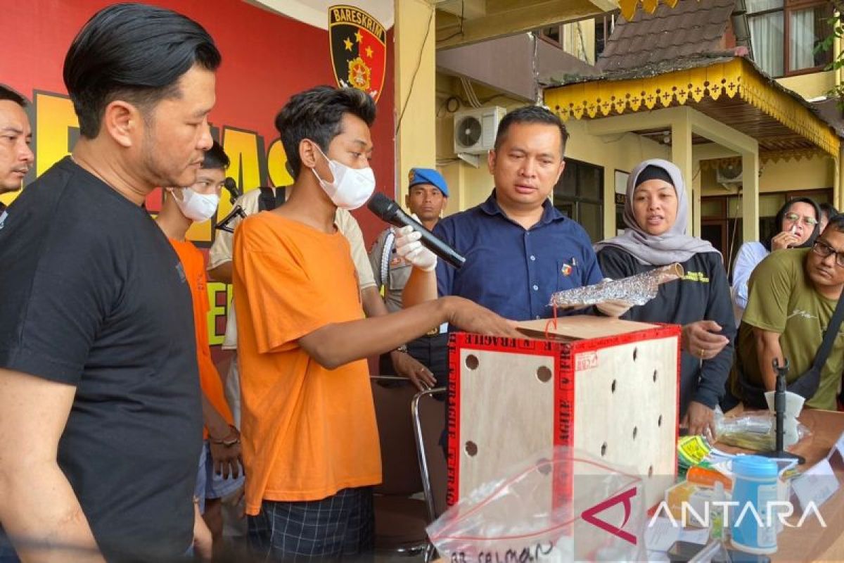 Narkoba diselundupkan bersama ayam digagalkan polisi