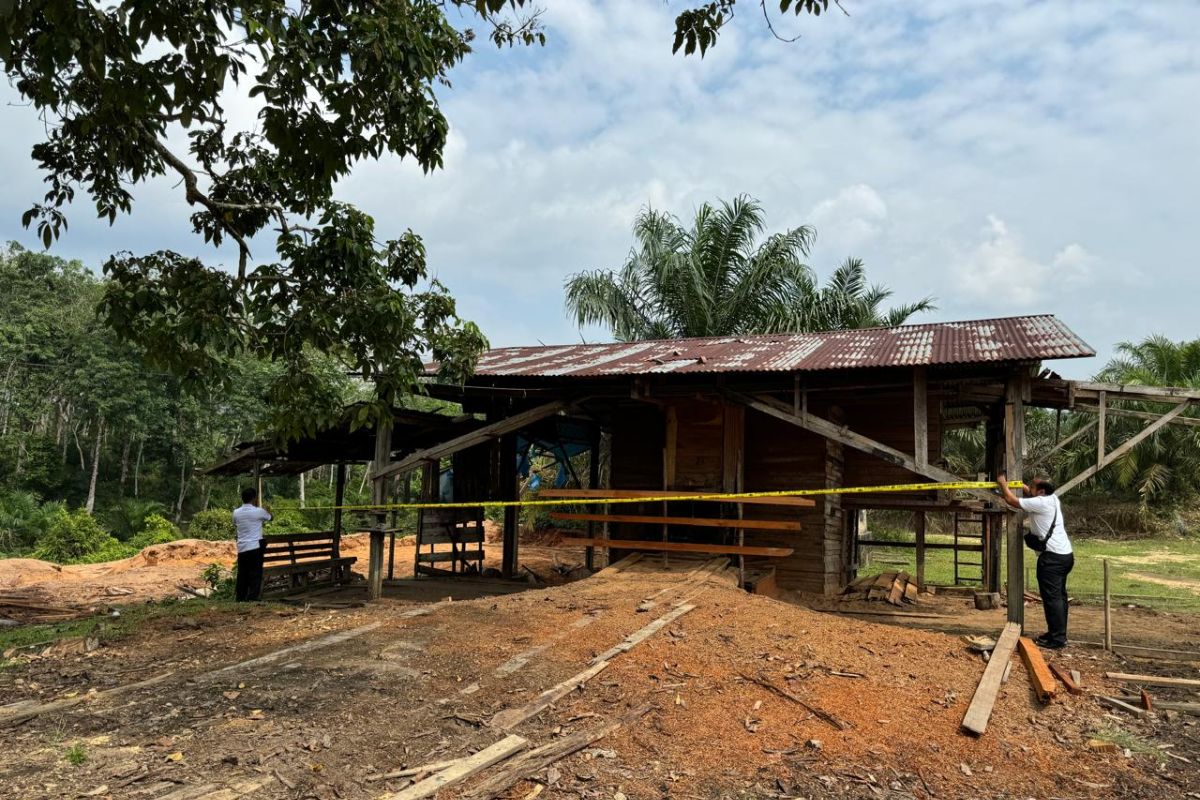 Polres Kampar razia illegal logging