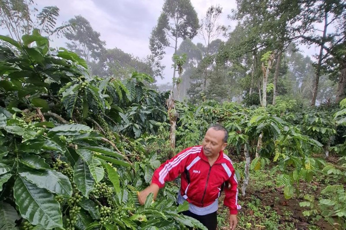 Pemprov Lampung catat nilai transaksi ekonomi KTH di 2023 Rp234,7 miliar