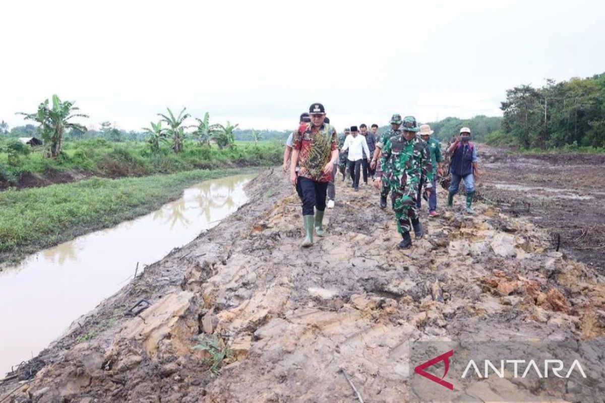 OKU Timur peroleh program optimalisasi lahan dari  Kementan seluas 10.000 Ha