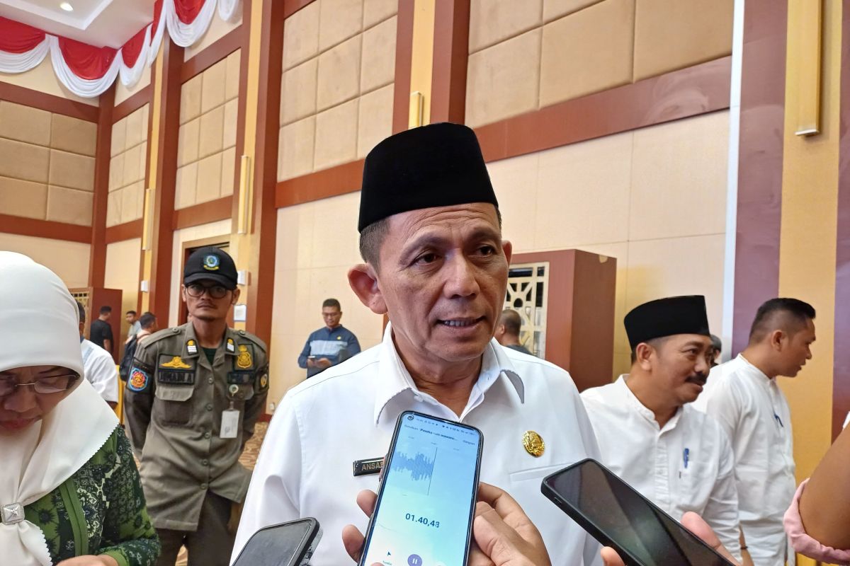 Gubernur Ansar minta sosialisasi masif soal kenaikan tarif listrik di Batam