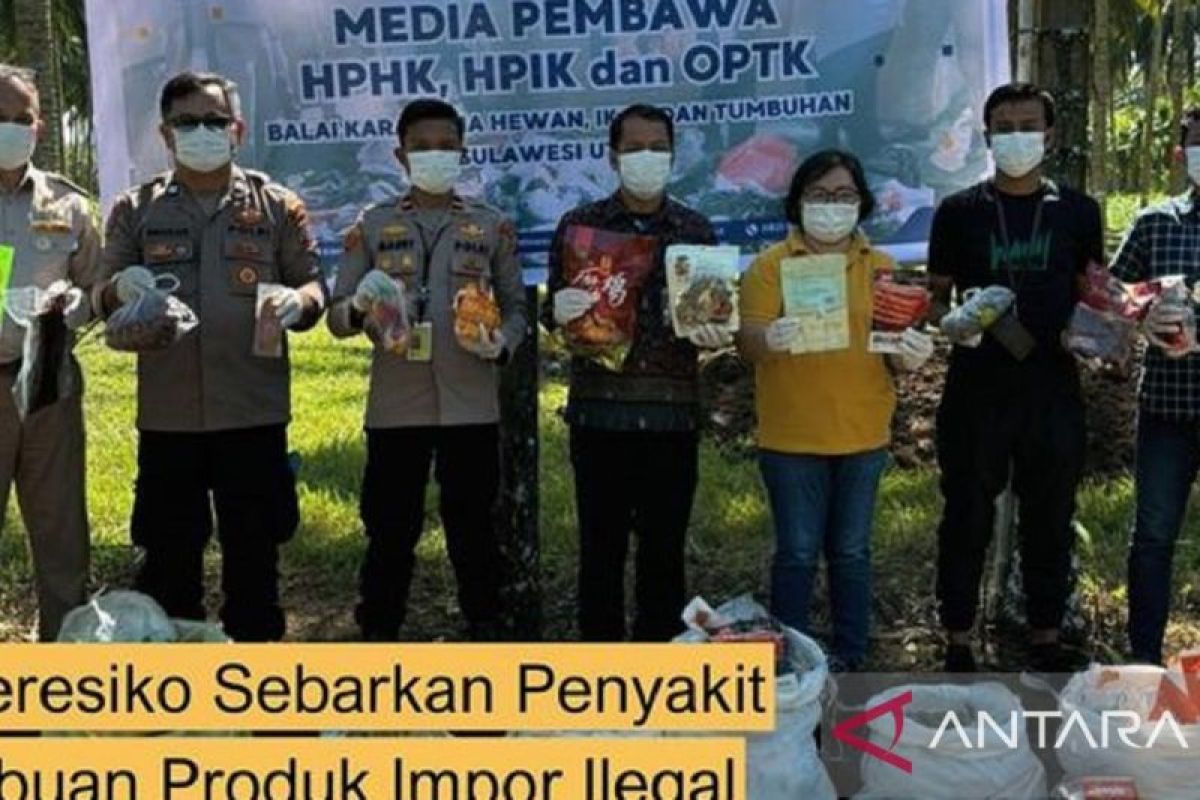 Karantina musnahkan ribuan  komoditas ilegal di Sulut