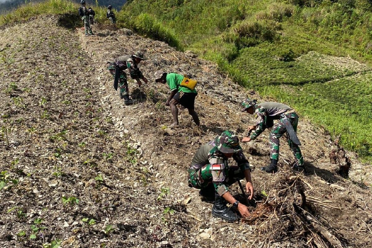 Satgas Yonif 753/AVT membantu buka lahan pertanian warga di Kalome