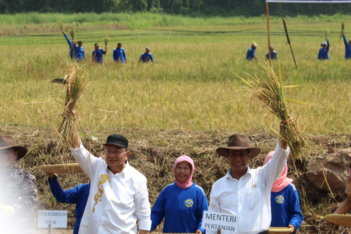 Mentan: Beri ruang petani raih untung maka produksi terus meningkat