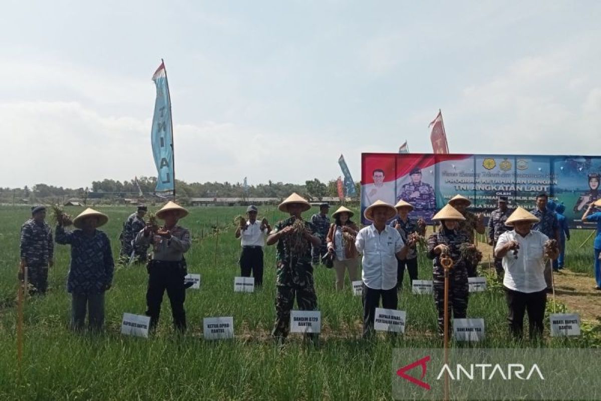 Pemkab Bantul dan TNI AL dukung petani lahan pasir wujudkan ketahanan pangan