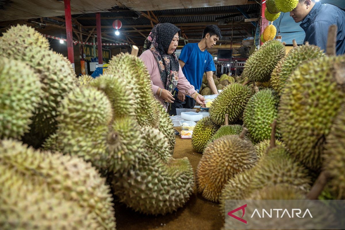 Percepatan ekspor durian dari Sulteng