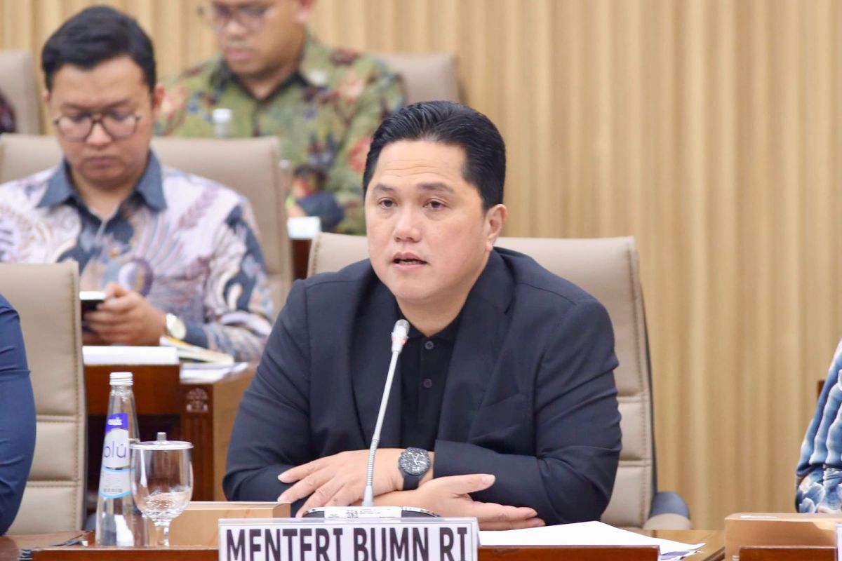 Erick Thohir sebut tata kelola BUMN diakui OECD