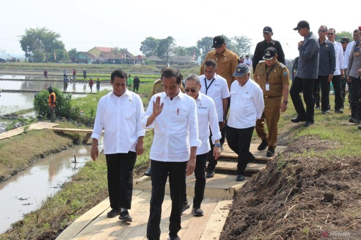 Presiden Jokowi ingin hasil pertanian bisa penuhi kebutuhan di Lampung Selatan