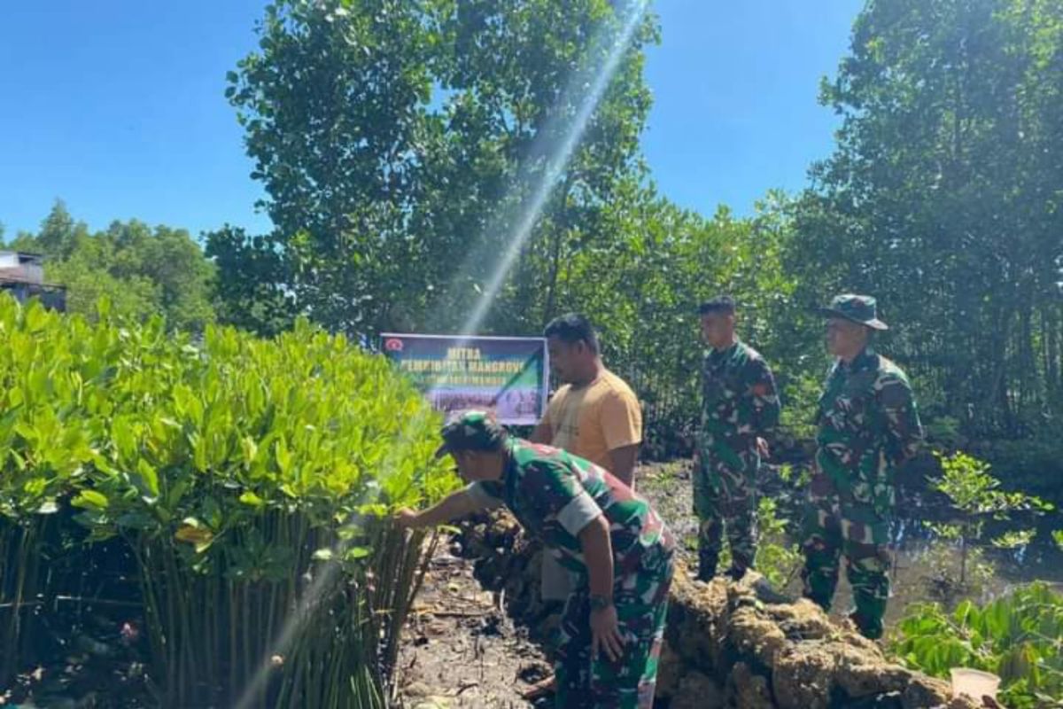 Kodim Mamuju kembangkan pembibitan mangrove di Desa Tadui