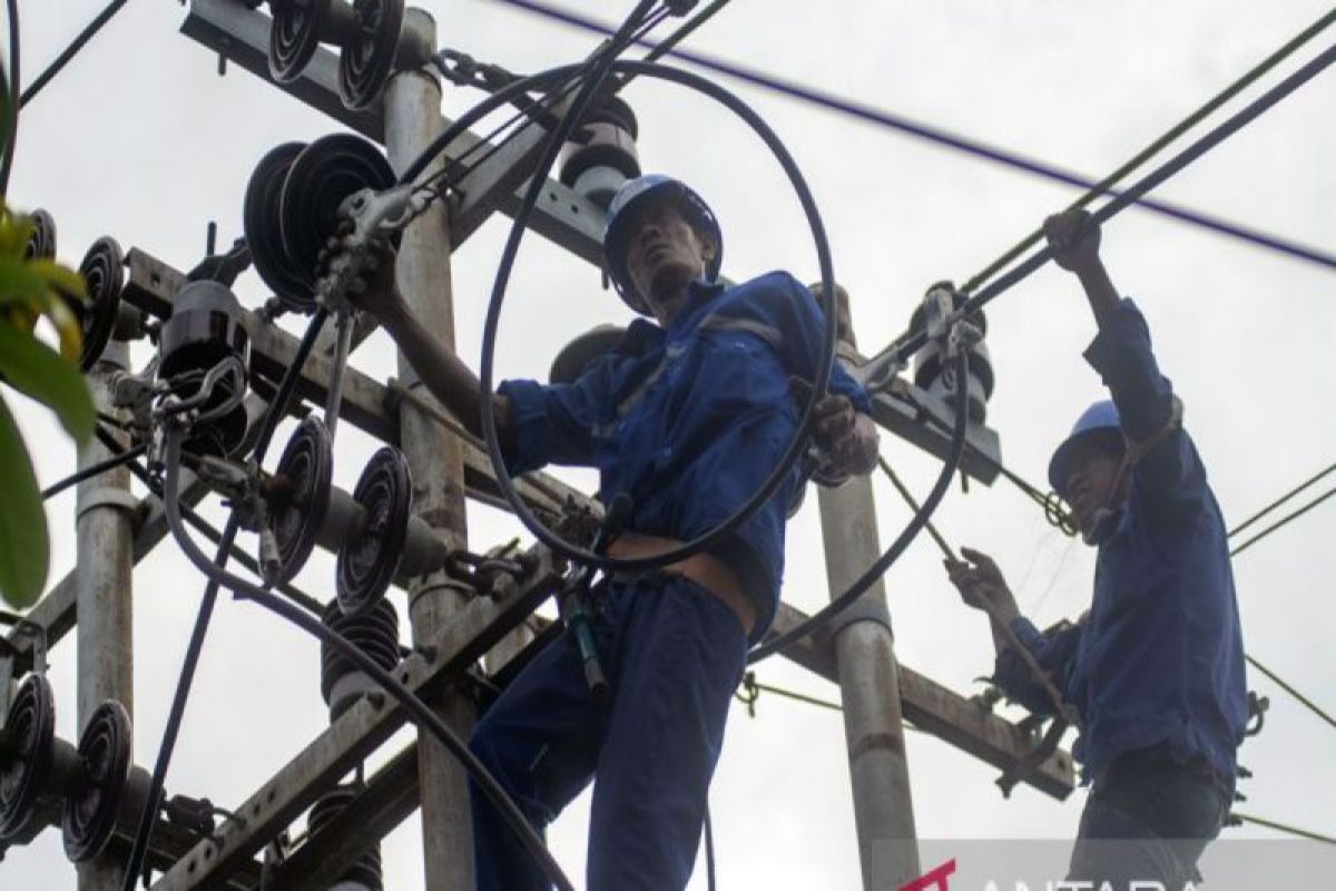 PLN UP3 Palu rawat jaringan jaga kehandalan pasokan listrik