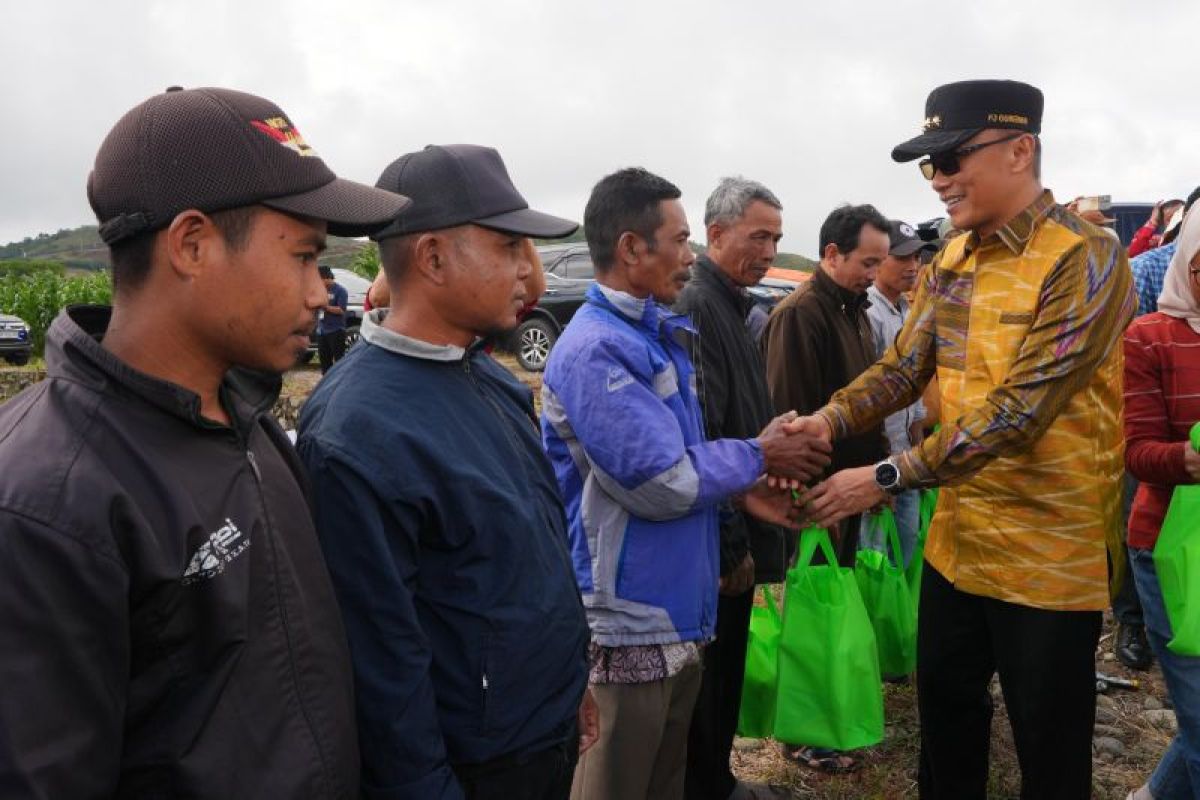 Pj Gubernur Sulsel menyerahkan bantuan bibit tanaman hortikultura di Gowa