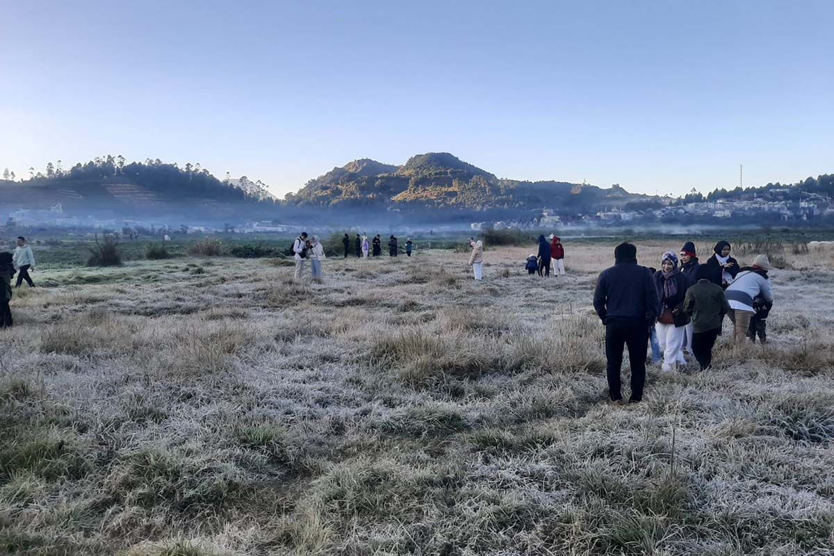 Embun beku "selimuti" kompleks Candi Arjuna Dieng