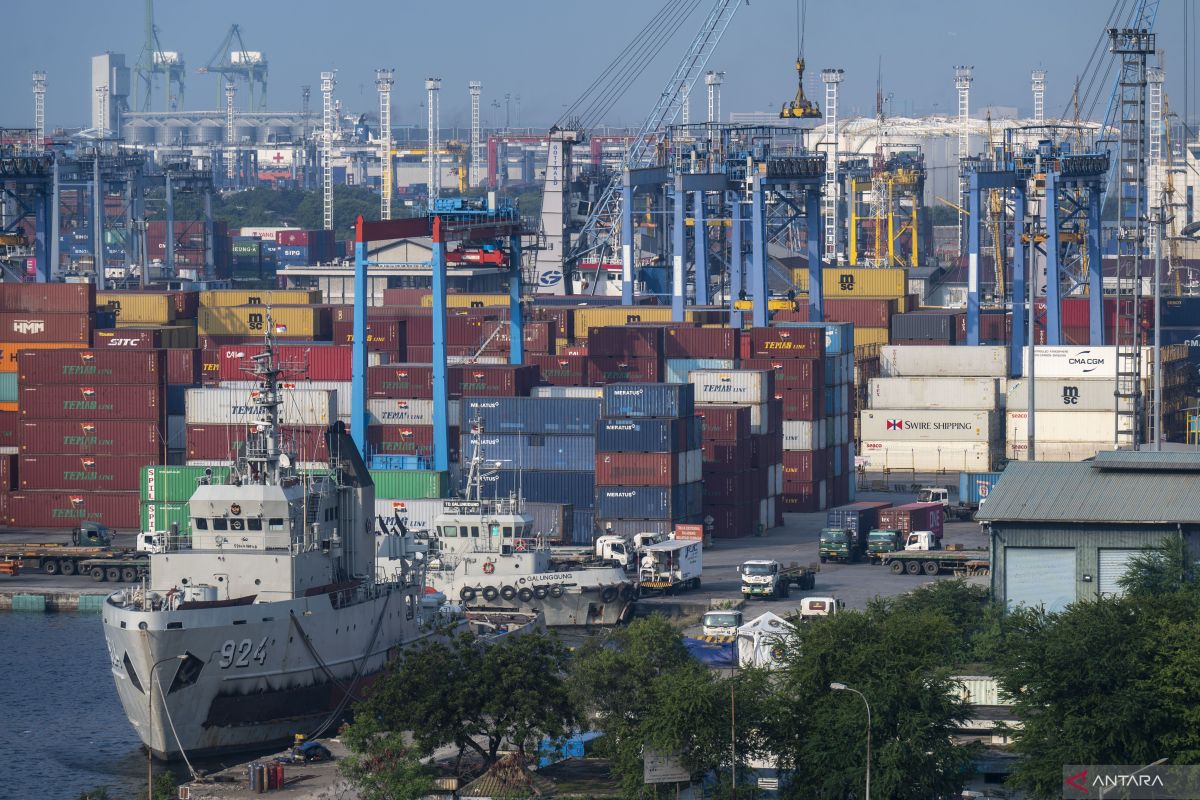 New import entry point could boost economy: minister