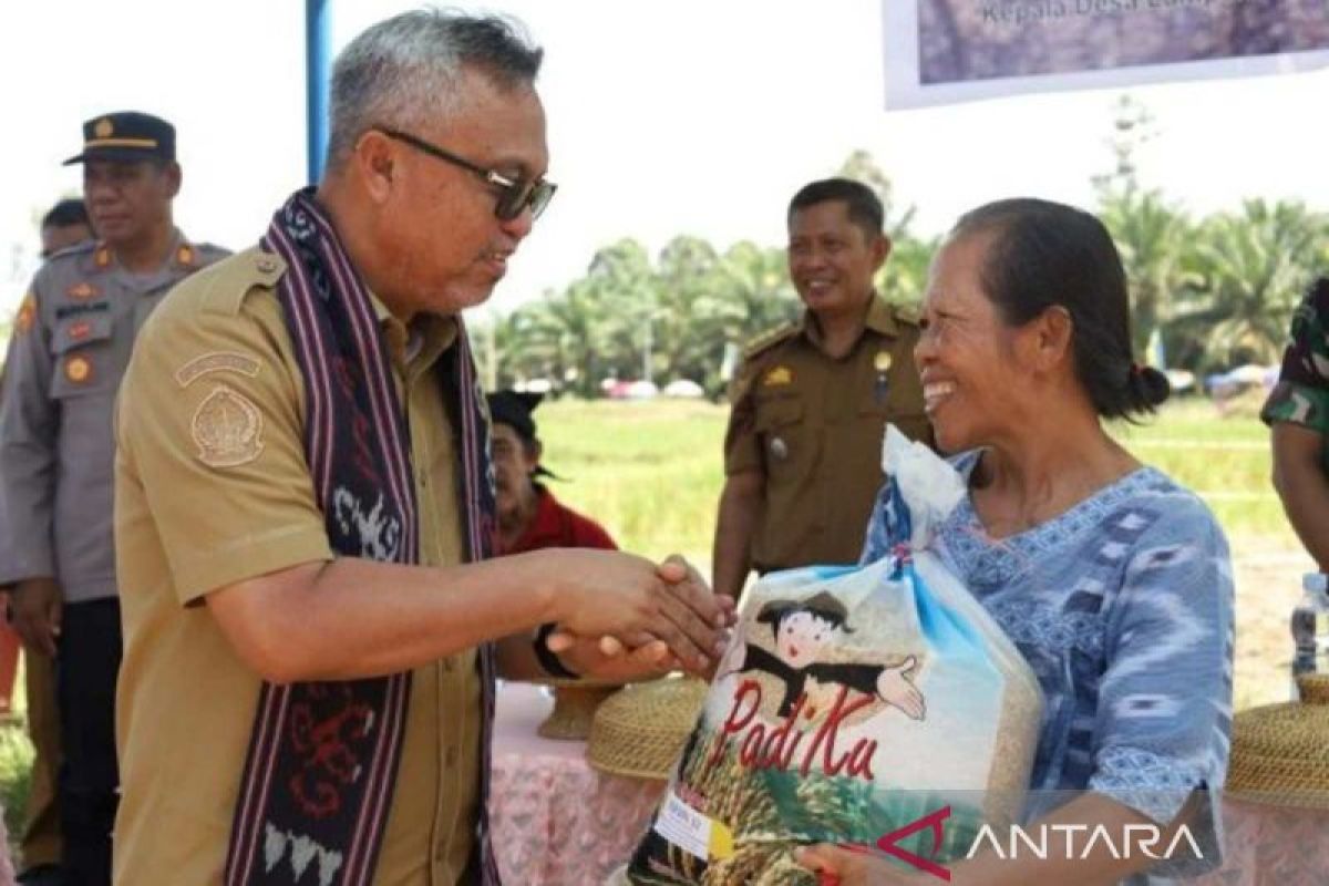 Bupati Luwu Timur serahkan bibit padi dan pupuk saat syukuran panen petani