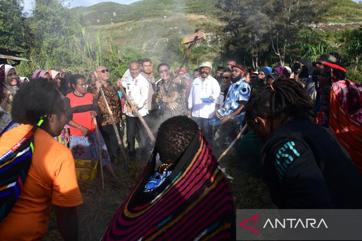 Bakar Batu di Papua Pegunungan jadi warisan nenek moyang simbol perdamaian