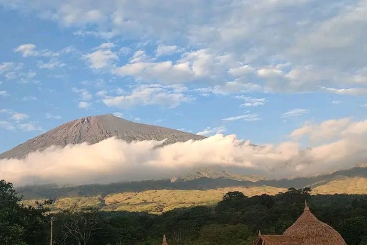 TNGR selidiki aktivitas penebangan pohon di kawasan Gunung Rinjani