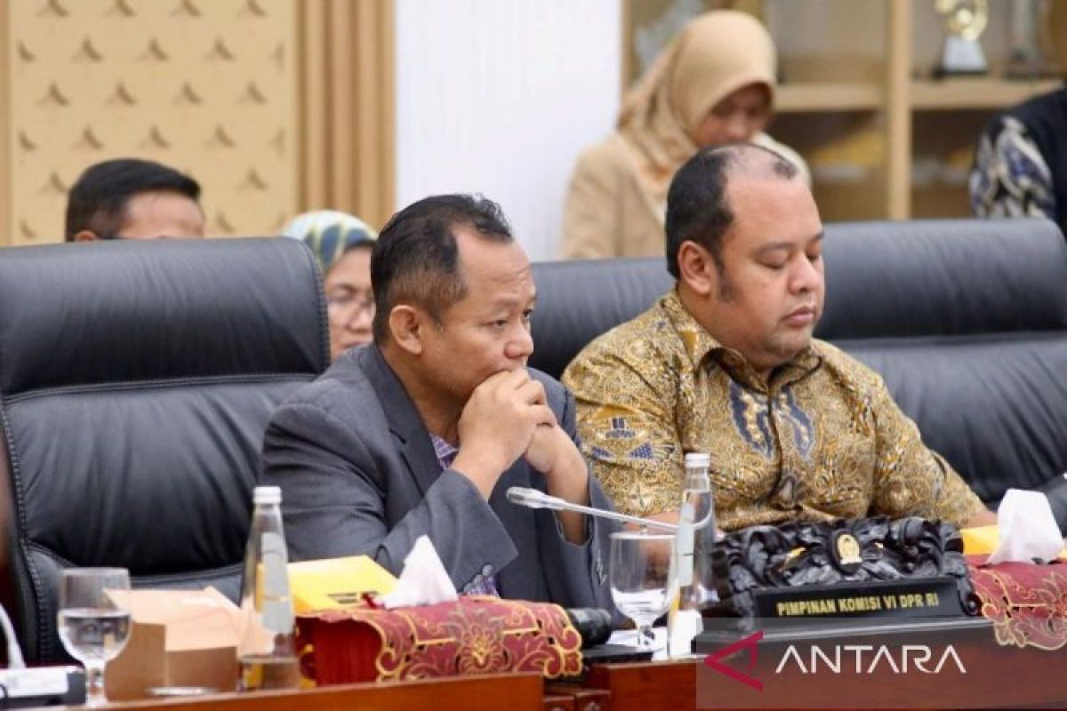 PLN ajukan Rp3 triliun PMN 2025 bangun kelistrikan daerah terpencil