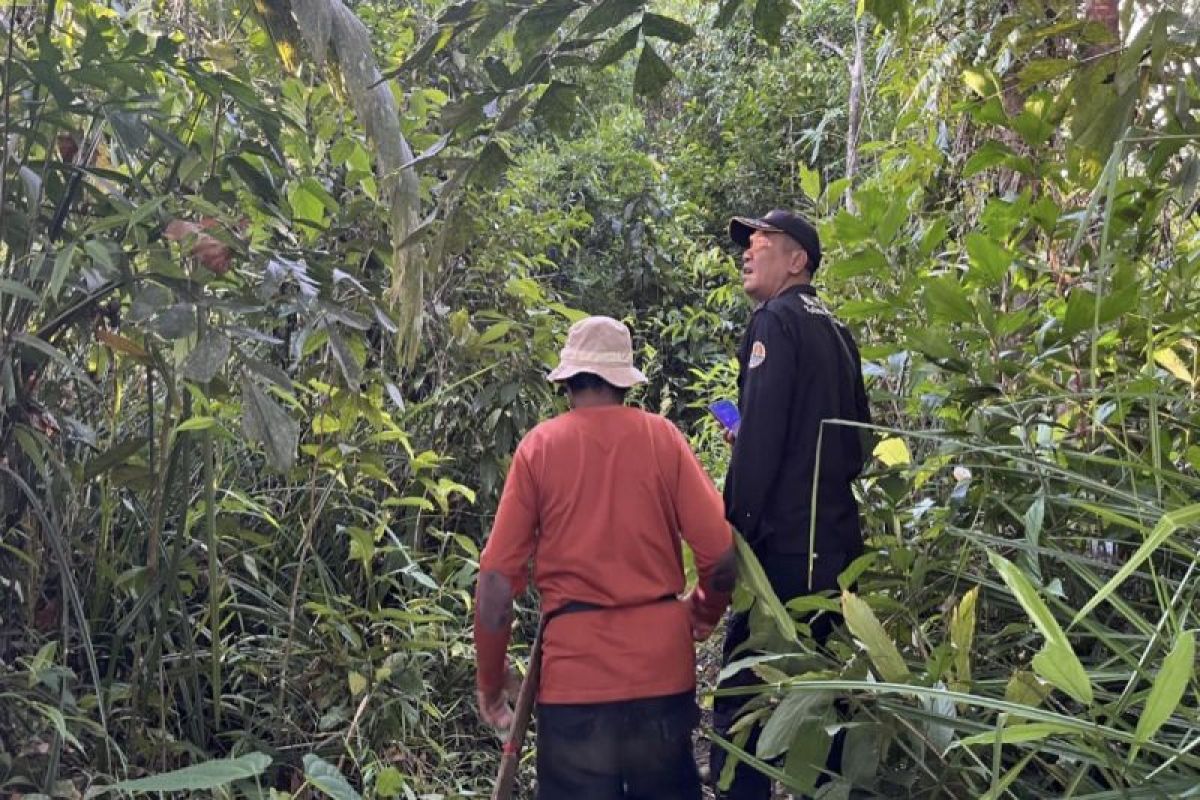 Kamera trap di Pulau Hanibung rekam kemunculan berbagai satwa