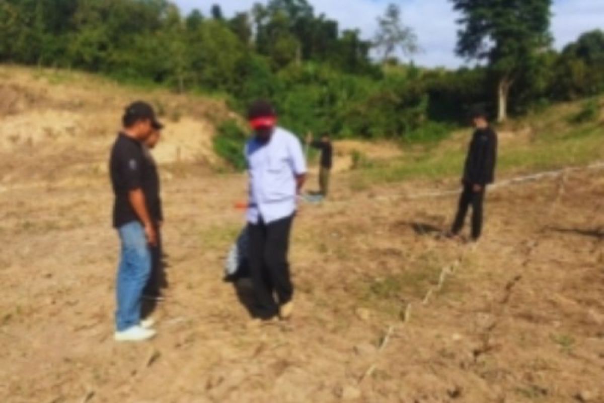 Pemprov Sulbar kembangkan rumput pakchong sebagai pakan ternak