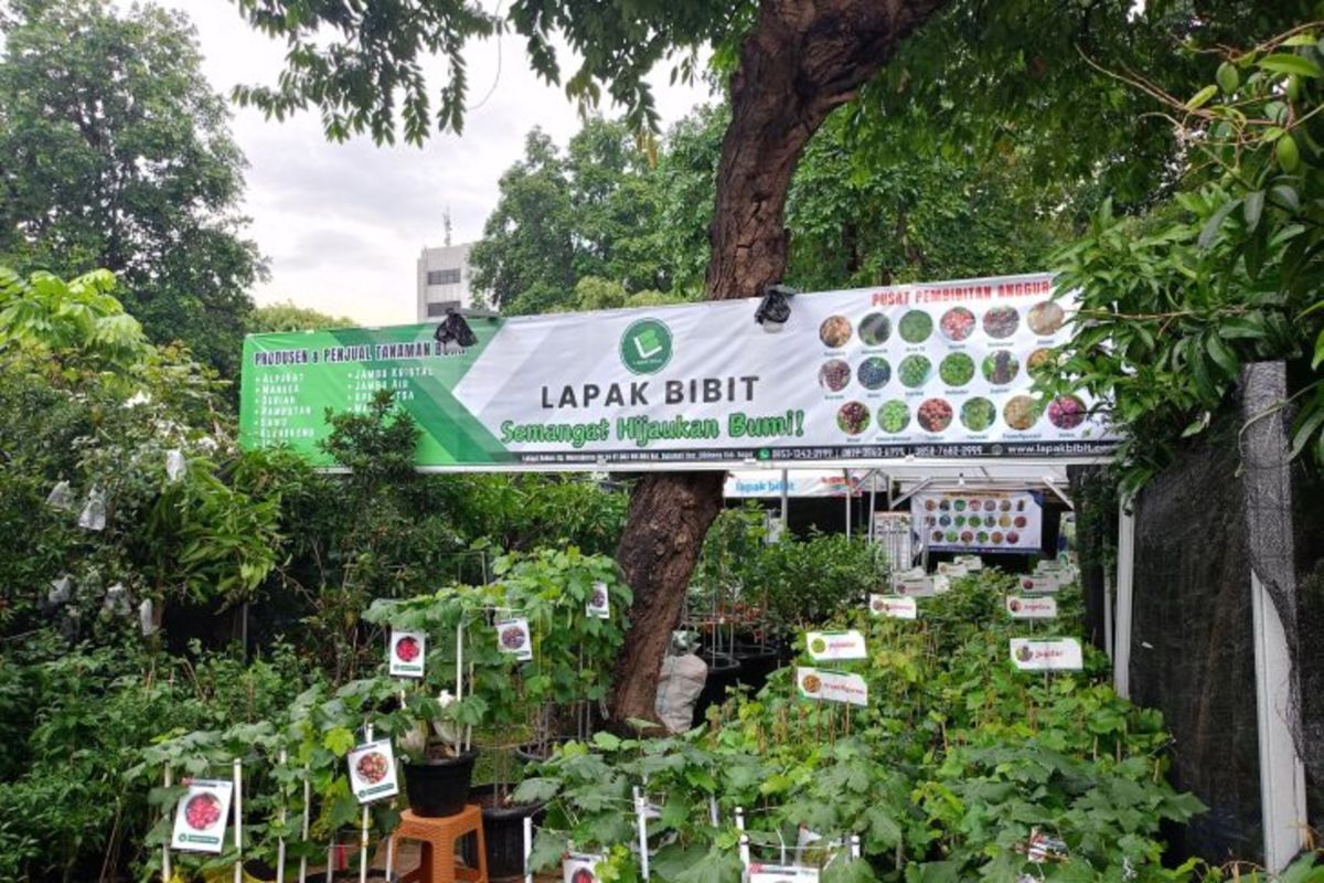 Jakarta suguhkan suasana baru di Pameran Flona 2024